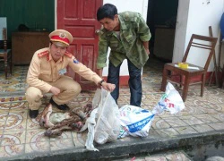 Cảnh sát giao thông đón lõng bắt người đàn ông chở 2 bao tải khỉ