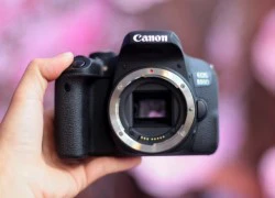 Canon đem loạt máy ảnh tầm thấp về Việt Nam