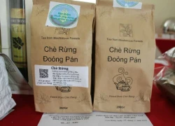 Độc đáo giống chè không cần chăm bón vẫn cho chất lượng tuyệt hảo