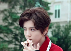 Fan 'rúng động' vì Phong Hành tung tin Luhan đã có bạn gái và con nhỏ?