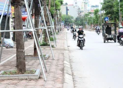 Hàng loạt cây xanh trên vỉa hè Hà Nội được "đeo gông sắt"