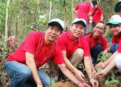 Hàng trăm người trồng rừng "vì một Việt Nam xanh"