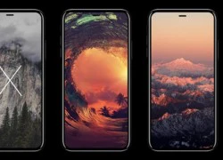 iPhone 8 &#8216;nhường&#8217; màn hình cong bốn cạnh cho Galaxy S9