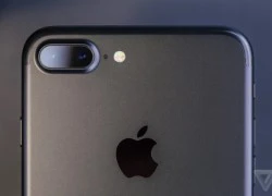 iPhone mới có thể bị hoãn ra mắt