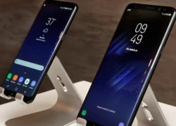 Liệu Samsung Galaxy S8 có sớm thay thế iPhone?