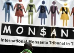 Monsanto: Hủy diệt môi trường, đồng phạm chiến tranh...