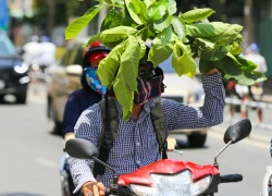 Người Sài Gòn vật vã trong nắng nóng hầm hập đầu mùa