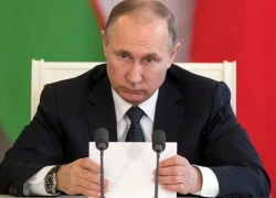 Putin cảnh báo âm mưu dàn dựng các vụ tấn công bằng vũ khí hóa học tại Syria