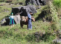 Quay phim chênh vênh nơi vực sâu, núi đá, rét âm độ