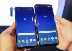 Samsung phát hành bản vá lỗi màn hình đỏ dành cho Galaxy S8