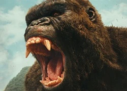 Trung Quốc cứu bom tấn 'Kong: Skull Island' thoát lỗ trong gang tấc