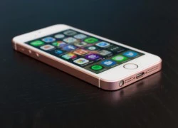 Vì sao iPhone SE đáng dùng hơn iPhone 7?