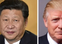 Vì sao ông Tập không nên uống bia cùng ông Trump?