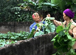 10 thứ trân quý mà khi càng lớn chúng ta sẽ đánh mất