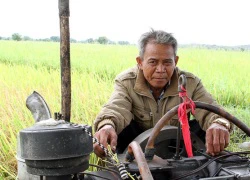 Anh Tá giúp làng cứu hàng tá lúa