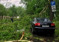 Bão mạnh tấn công thủ đô Moscow: 12 người chết, 125 người bị thương