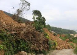 Chủ tịch Đà Nẵng yêu cầu khẩn trương báo cáo Phó Thủ tướng vụ Sơn Trà