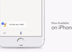 Google chính thức phát hành trợ lý ảo Assistant dành cho iPhone