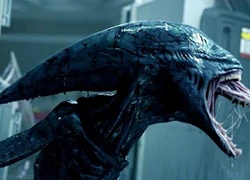 Hành trình khát máu của quái vật Xenomorph trong loạt 'Alien'