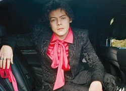 Harry Styles: Chàng ca sĩ yêu màu hồng thích hoài niệm