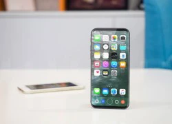 iPhone 8 không cần RAM 6 GB để đánh bại đối thủ