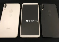 Lộ ảnh iPhone 8 màn hình vô cực, cảm biến vân tay phía sau