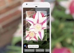 Một số điều cần biết về trí tuệ nhân tạo Google Lens vừa ra mắt