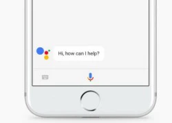 Một số thủ thuật độc đáo khi sử dụng trợ lý ảo Google Assistant trên iOS