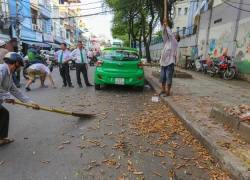 Mưu sinh với nghề hái me trên vỉa hè Sài Gòn