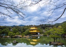 Ngôi chùa dát vàng độc đáo ở Kyoto