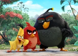 Phần hai phim 'Angry Birds' ra mắt trong năm 2019