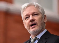 Thụy Điển dừng điều tra ông chủ WikiLeaks sau 7 năm