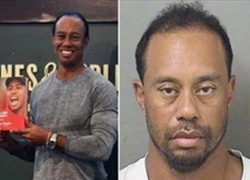 Tiger Woods bị bắt