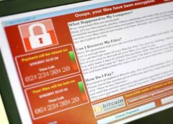 TP.HCM ứng phó khẩn với mã độc WannaCry