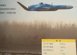 UAV lai tên lửa, vũ khí chống tiếp cận trên biển mới của Trung Quốc