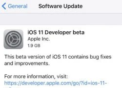 Cách nâng cấp iOS 11 beta cho iPhone, iPad