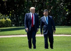 Chiến lược nhờ Trung Quốc ngăn Triều Tiên của Trump gây hoài nghi