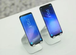 Consumer Reports: Galaxy S8 đánh bại iPhone 7 Plus