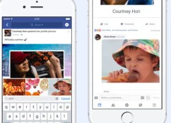 Đã có thể bình luận bằng ảnh GIF trên Facebook