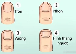 Đầu ngón tay vuông hay tròn thì tâm tính tốt, nhiều người quý mến?