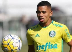 Gabriel Jesus: Từ cậu bé chân đất vẽ tranh đến ngôi sao ĐT Brazil