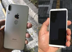 Hình ảnh iPhone 8 màn hình lớn, Touch ID phía sau chỉ là giả mạo?