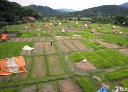 Mang chăn, chiếu, ri đô, trải bạt địu con ra đồng tỉa mạ ngày mùa