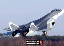 Nga đoán số lượng tiêm kích T-50 Việt Nam sẽ mua