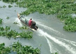 Nghi án 2 nhóm buôn lậu thuốc lá bắn nhau