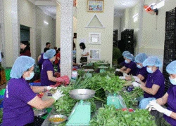 Nghịch lý rau sạch VietGAP không có đầu ra, dân vẫn phải ăn "bẩn"