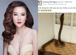 Nhà của Dương Yến Ngọc bị rắn hổ mang khổng lồ tấn công?