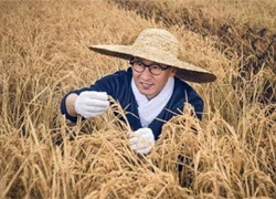 'Nhĩ Khang' Châu Kiệt hết thời, bỏ về quê trồng lúa