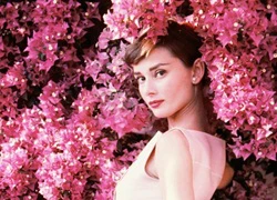 Những lời ám ảnh cuối cùng của 'huyền thoại điện ảnh' Audrey Hepburn