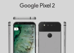 Rò rỉ ảnh Google Pixel 2: Camera kép ngang, viền màn hình siêu mỏng